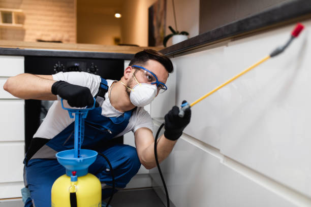 Best Rat Extermination Near Me  in Alanes Ridge, CA