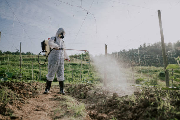 Best Local Pest Control Services  in Alanes Ridge, CA