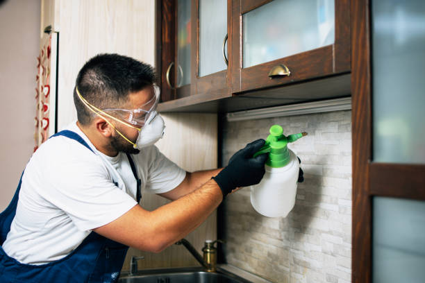 Best Best Pest Control Companies  in Alanes Ridge, CA