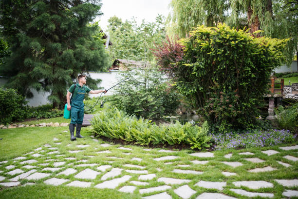 Pest Prevention Services in Acalanes Ridge, CA