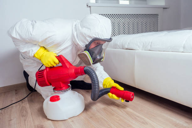 Best Affordable Pest Control Services  in Alanes Ridge, CA