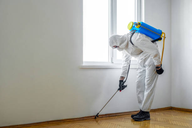 Best Affordable Pest Control Services  in Alanes Ridge, CA