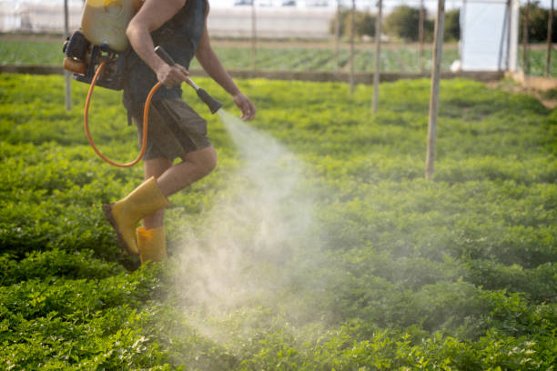 Best Pest Control Near Me in Acalanes Ridge, CA