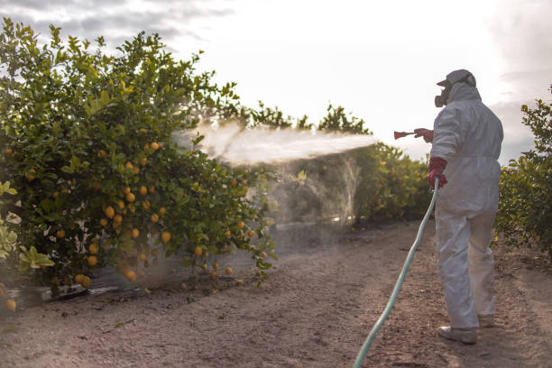 Professional Pest Control in Acalanes Ridge, CA