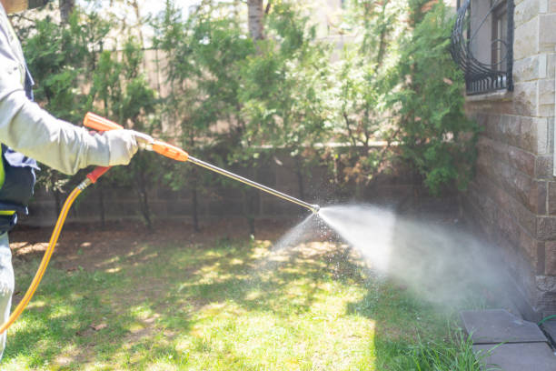 Best Best Pest Control Near Me  in Alanes Ridge, CA