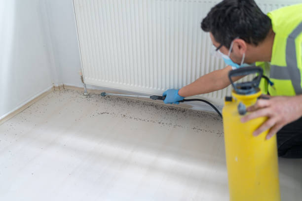 Best Pest Prevention Services  in Alanes Ridge, CA